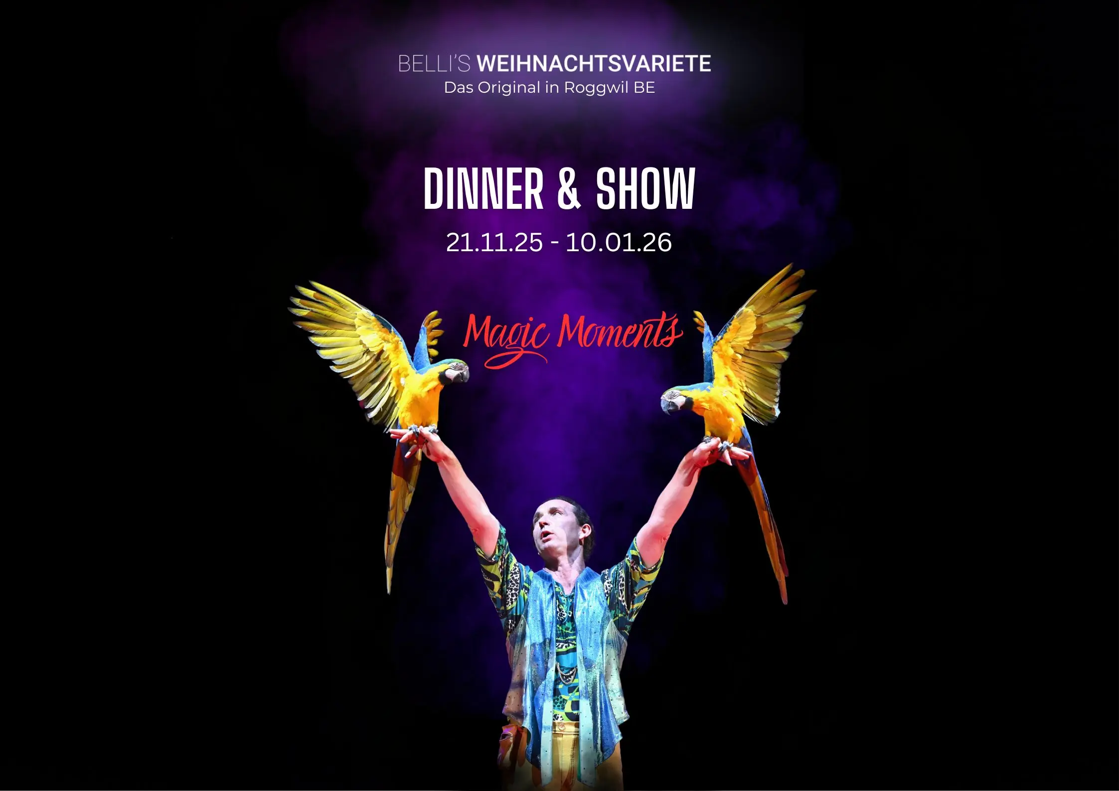 Bellis Weihnachtsvariete